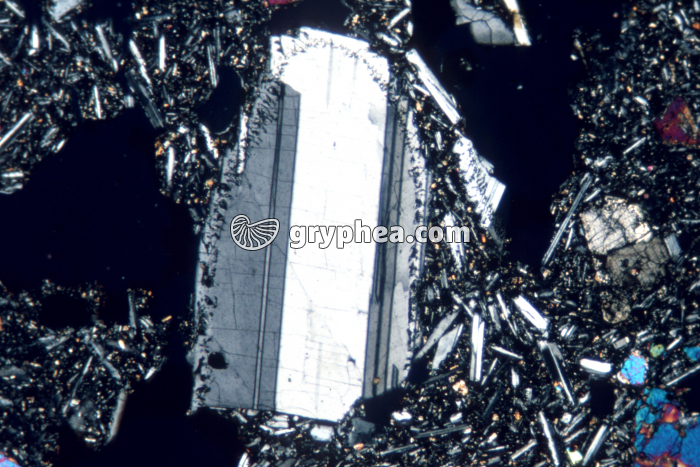 Feldspath plagioclase LPA x10 - gryphea.com